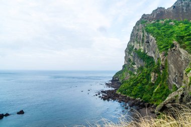 Jeju Adası'Seongsan Ilchulbong (volkanik koni) görünümünü.
