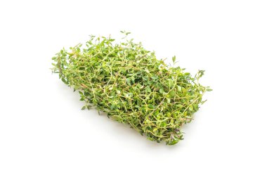 Beyaz arkaplanda taze kekik