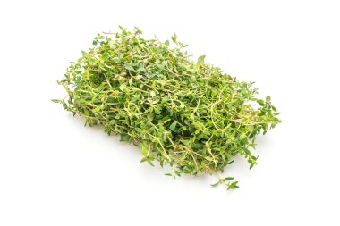 Beyaz arkaplanda taze kekik