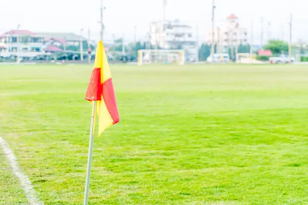Rohu vlajka v zelené fotbalové hřiště — Stock fotografie