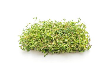 Beyaz arkaplanda taze kekik