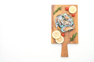 beyaz zemin üzerine taze midye