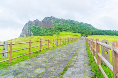 Songaksan dağın Jeju Adası.