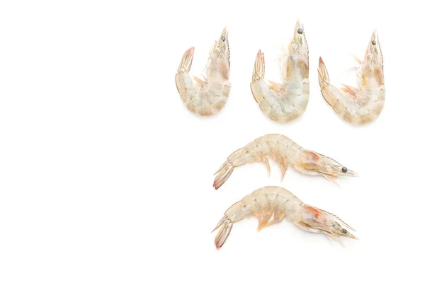 Fresh shrimps or prawns raw — Stock Photo, Image