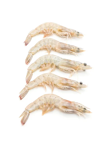 Fresh shrimps or prawns raw — Stock Photo, Image