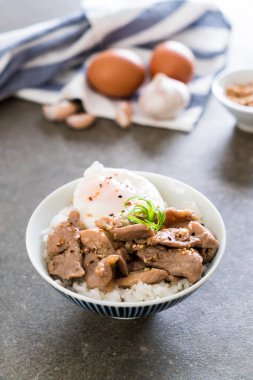 yumurta ile tepesinde pirinç Sarımsak soslu tavada kızartılmış domuz eti