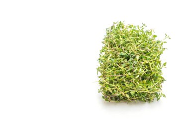 Beyaz arkaplanda taze kekik