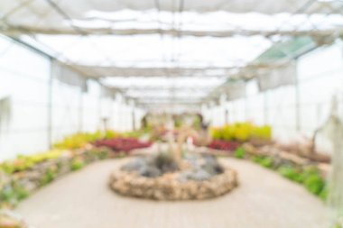 bulanıklık cam ev Bahçe