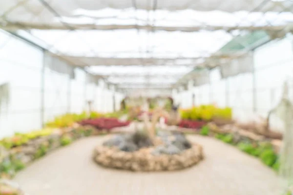 Bulanıklık cam ev Bahçe — Stok fotoğraf
