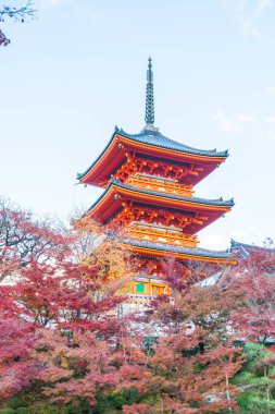 Kiyomizu-dera Tapınağı güzel mimari Kyoto,.