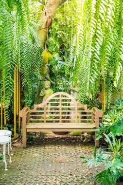 boş sandalye ve tezgah bahçede