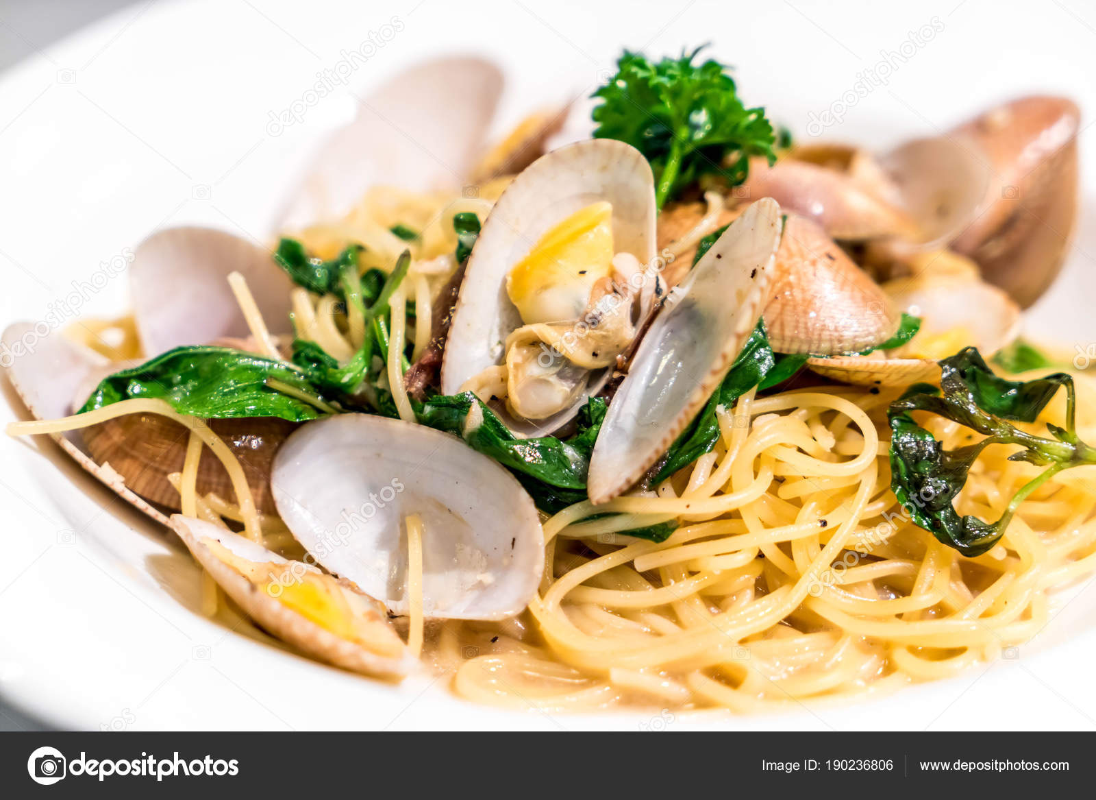Spaghetti fried clams with chilli sauce — Stock Photo © topntp 190236806