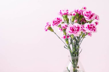 ahşap arka plan üzerinde pembe bahar çiçek