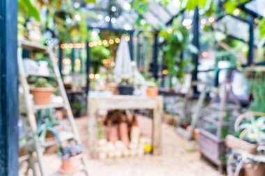 bulanıklık cam ev Bahçe