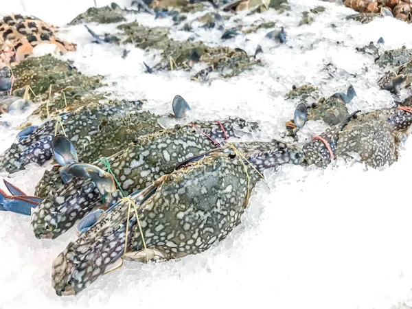 Frische blaue Krabbe auf dem Markt — Stockfoto