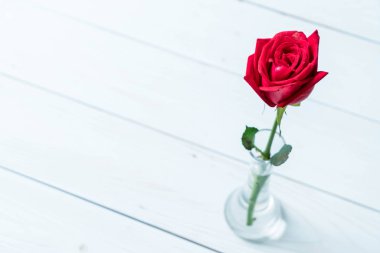 Tahtadaki kırmızı gül 