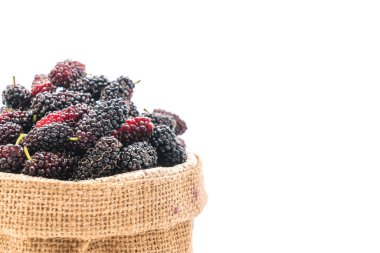 Beyaz arka planda taze dut