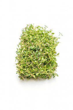 Beyaz arkaplanda taze kekik