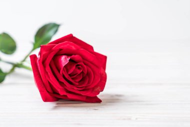 Tahtadaki kırmızı gül 