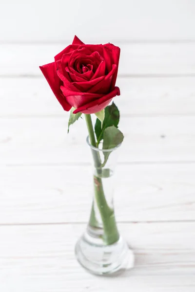 Červená růže na dřevě — Stock fotografie