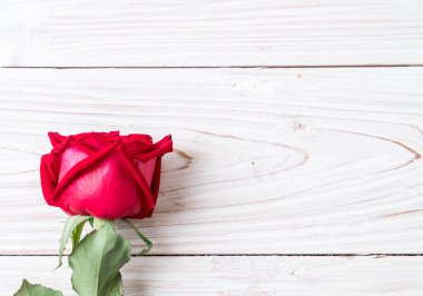 Tahtadaki kırmızı gül 