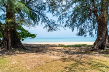 Güzel tropikal plaj ve deniz paradise Island 
