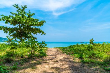 Güzel tropikal plaj ve deniz paradise Island 