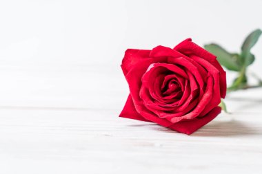 Tahtadaki kırmızı gül 