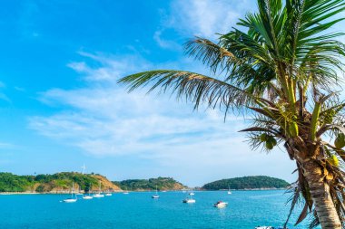 Güzel tropikal plaj ve deniz parad Hindistan cevizi hurma ağacı ile