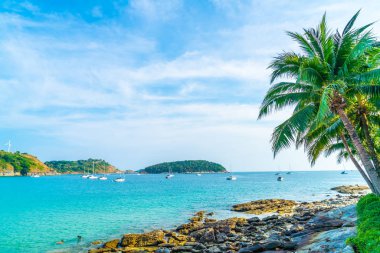 Güzel tropikal plaj ve deniz parad Hindistan cevizi hurma ağacı ile