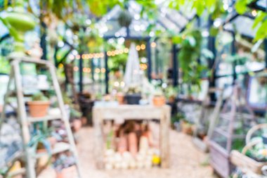 bulanıklık cam ev Bahçe