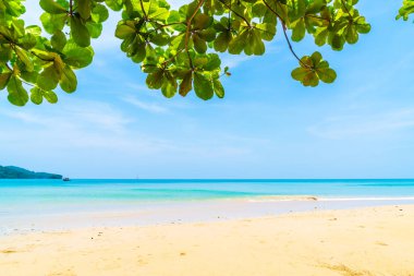 Güzel tropikal plaj ve deniz paradise Island 