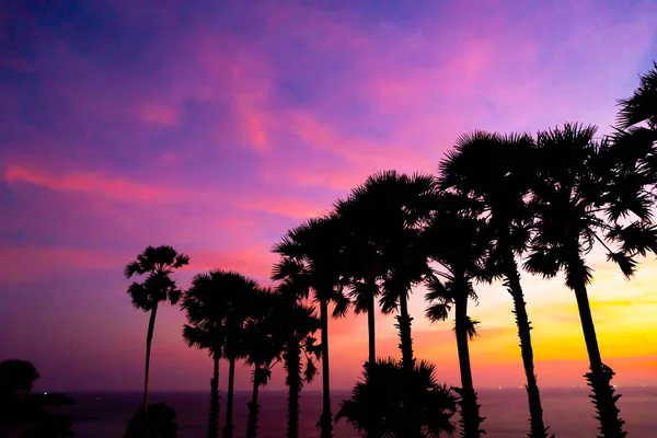 Silueta palmera con hermoso crepúsculo puesta del sol cielo — Foto de Stock