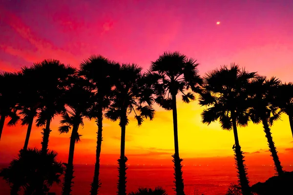 Silhouette palm tree with beautiful twilight sunset sky — Stock Photo, Image