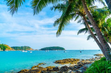 Güzel tropikal plaj ve deniz parad Hindistan cevizi hurma ağacı ile