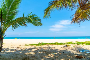 Güzel tropikal plaj ve deniz parad Hindistan cevizi hurma ağacı ile