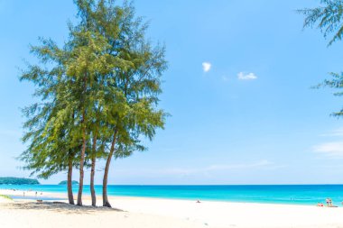 Güzel tropikal plaj ve deniz parad Hindistan cevizi hurma ağacı ile