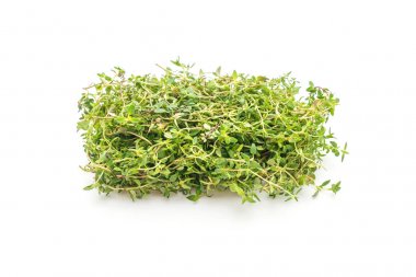 Beyaz arkaplanda taze kekik