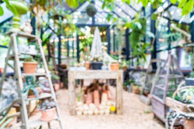 bulanıklık cam ev Bahçe