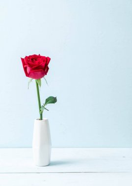 Tahtadaki kırmızı gül 