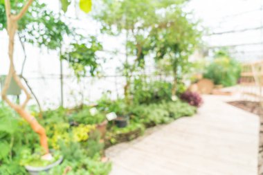 bulanıklık cam ev Bahçe