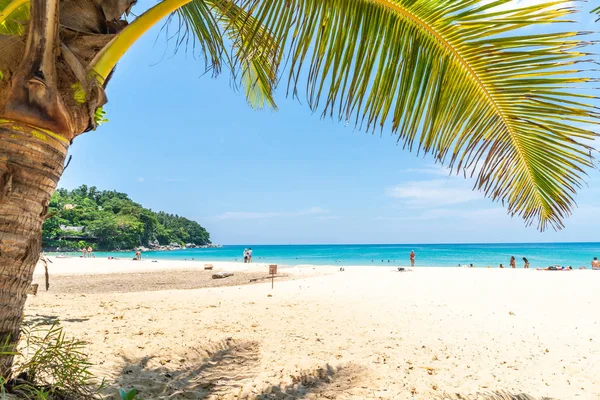 Пляж и море с кокосовой пальмой в параде — стоковое фото