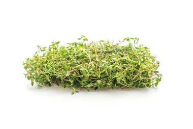 Beyaz arkaplanda taze kekik