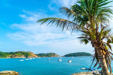 Güzel tropikal plaj ve deniz parad Hindistan cevizi hurma ağacı ile