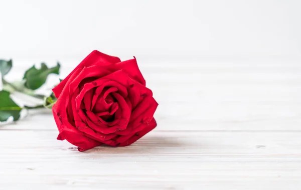 Červená růže na dřevě — Stock fotografie