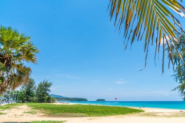 Güzel tropikal plaj ve deniz parad Hindistan cevizi hurma ağacı ile