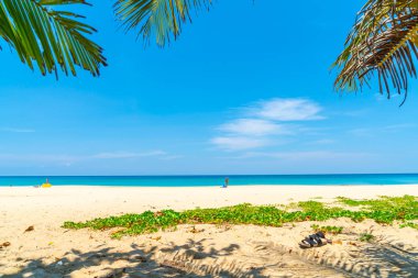 Güzel tropikal plaj ve deniz parad Hindistan cevizi hurma ağacı ile