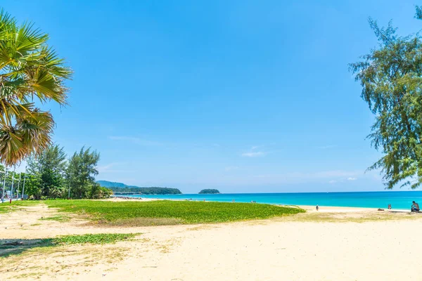Güzel tropikal plaj ve deniz parad Hindistan cevizi hurma ağacı ile
