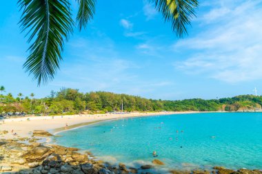 Güzel tropikal plaj ve deniz parad Hindistan cevizi hurma ağacı ile