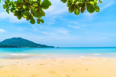Güzel tropikal plaj ve deniz paradise Island 